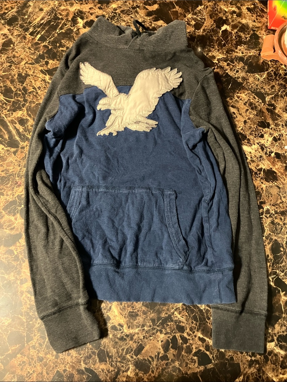 Men's Navy and Charcoal Pullover Hoodie with Eagle Patch